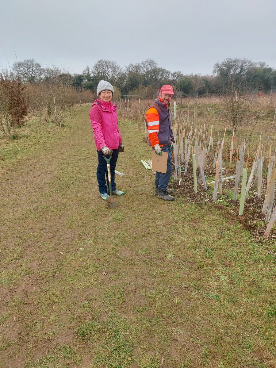 Andover Trees United tweet media