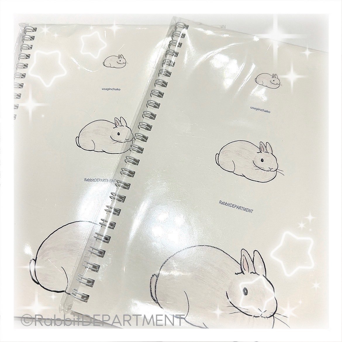 新宿店です🐇ꔛෆ

大人気の #うさぎんちゃこ さんの新デザインリングノートが登場しました🙌💞
中身はドット柄でメモにもお絵描きにも使えます♪

通販サイトはこちら↓
rabbitdpt.kawaiishop.jp/items/96295835

 #新宿丸井アネックス
 #RabbitDEPARTMENT