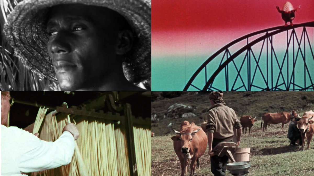 En ce début d'année, 26 nouvelles vidéos de la Cinémathèque Centrale de l'Enseignement Public (CCEP) font leur entrée dans notre bibliothèque numérique patrimoniale, la #BSNum !  
🎞️Découvrez-les bit.ly/actuBSNum_CCEP…