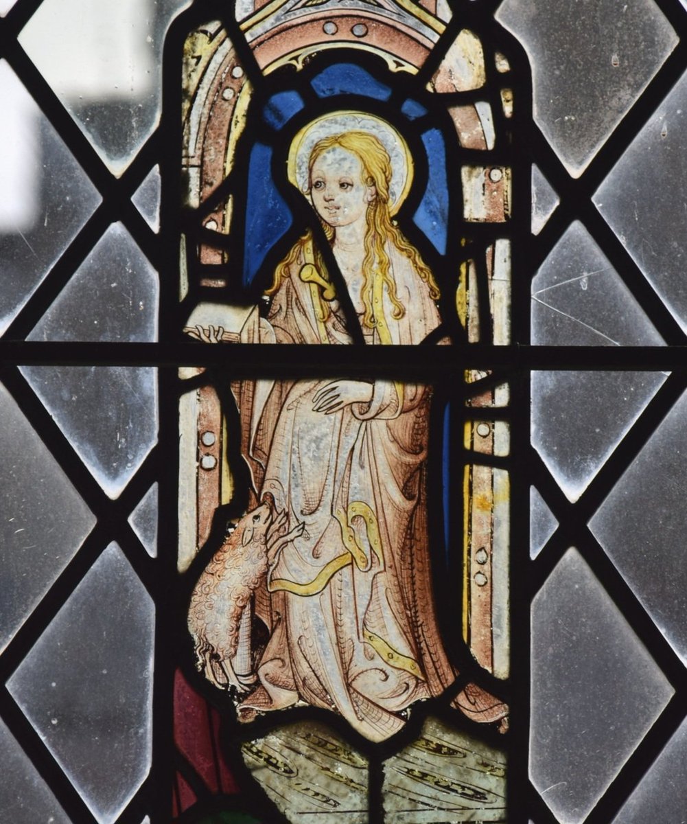SimoninSuffolk's tweet image. Today's the feast of St Agnes, by tradition a 3rd Century martyr, and a very popular cult in late medieval England as the patron of girls and unmarried women. Here she is in 15th Century glass at Plumstead, Norfolk, her lamb looking up at her.

Plumstead: norfolkchurches.co.uk/plumstead/plum…