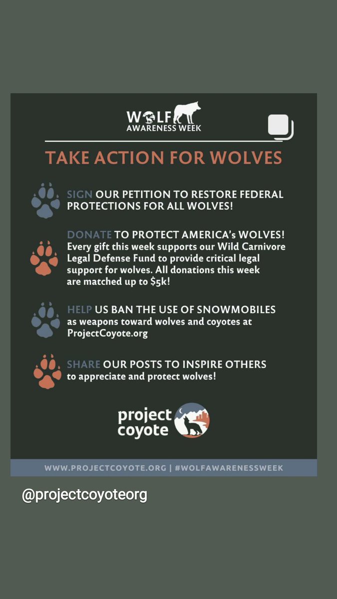 AgProgressUSA's tweet photo. Be Mindful of the Ecocide Abandon hunting and meat eating for the animals๐ฆ๐ฆ๐บ๐บ๐ท๐๐๐๐ฎ๐ #huntersSuck https://t.co/g1LUbkPMTf