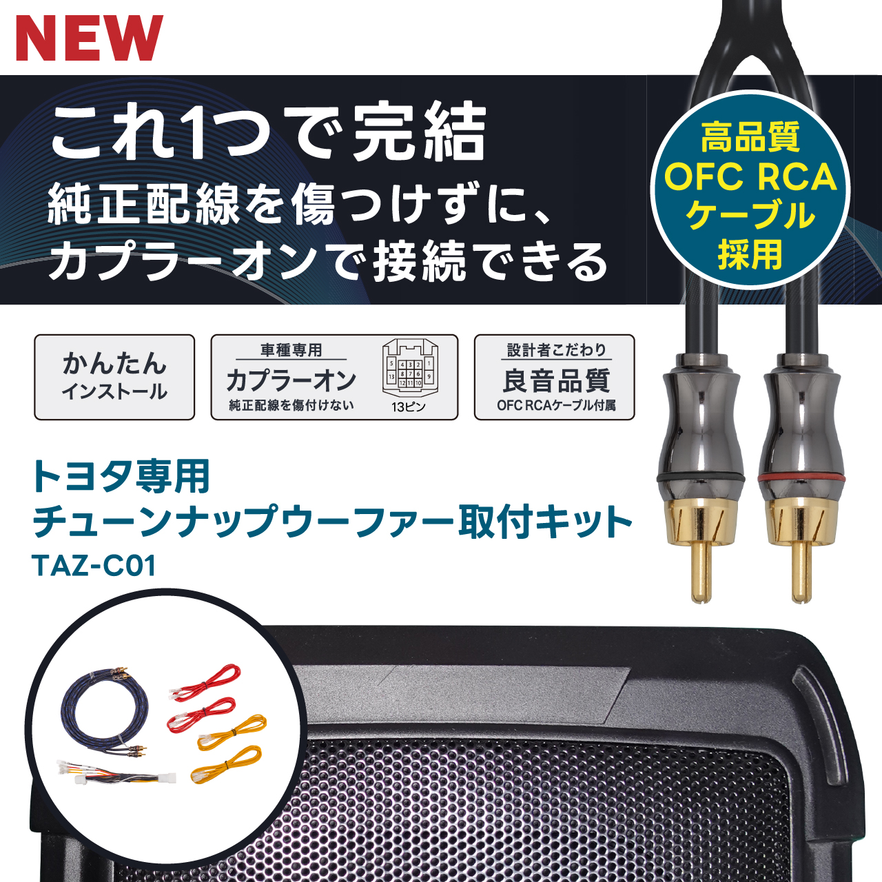 ビートソニックDSP-T309 DSP機能付きアンプ 思いこみ TOON X ビートソニックDSP-T309 DSP機能付きアンプ 思いこみ TOON X