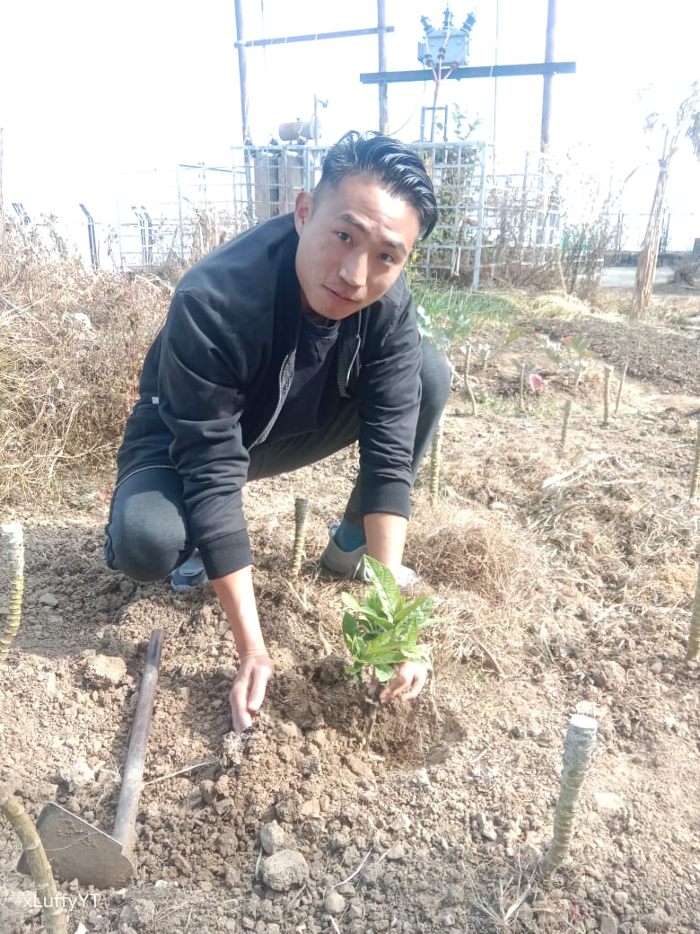 DD Nagaland (@ddnagaland) on Twitter photo DD Kohima participating in Ek Pad Maa Ki Naam on 21st Jan. 2025 <a href="/MIB_India/">Ministry of Information and Broadcasting</a> <a href="/ceo_pb/">CEO, Prasar Bharati</a> @dg_dd DD Kohima participating in Ek Pad Maa Ki Naam on 21st Jan. 2025 <a href="/MIB_India/">Ministry of Information and Broadcasting</a> <a href="/ceo_pb/">CEO, Prasar Bharati</a> @dg_dd