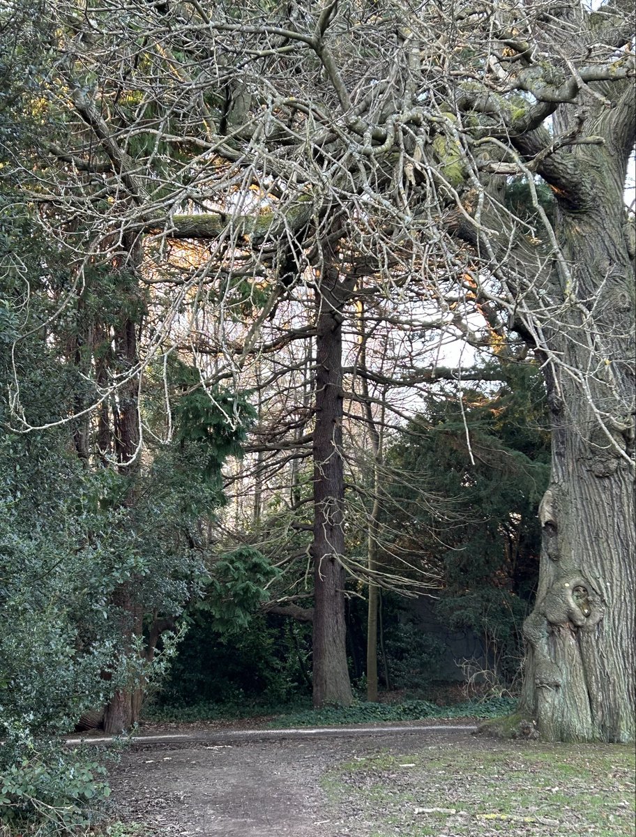 Rehabilitation Medicine could help in earlier resolution of disputes between intensive care units and disabled patients. A brief new piece in <a href="/JME_BMJ/">J. of Medical Ethics</a> - <a href="/BSPRM_UK/">British Society of Physical & Rehab Medicine</a> <a href="/IMEweb/">IME</a> <a href="/Ethox_Centre/">Ethox Centre</a> <a href="/derickwaderehab/">Derick Wade</a> <a href="/javNRC/">Javvad Haider</a> jme.bmj.com/content/early/…