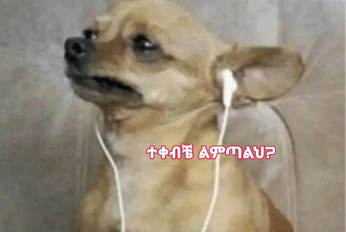 adyam_27's tweet photo. US ያለው አጎትህ የኩበቱ ሽታ ናፈቀኝ ሲልህ https://t.co/8EXQ4wuBPQ