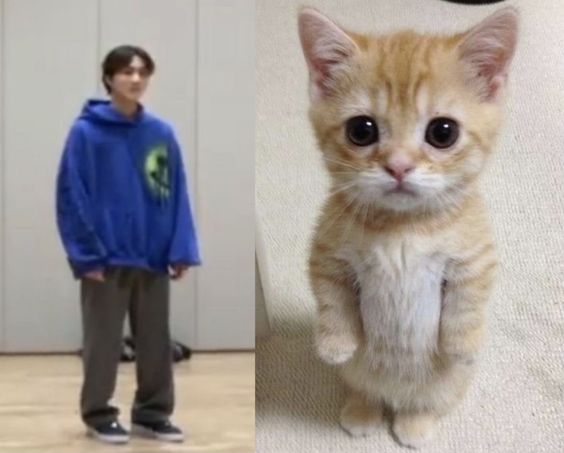 NocturneBeam's tweet image. Dengan ini JungwonPals mendeklarasikan akan menjadi anomali pembaik dan tidak marah-marah lagi. #WishMeLuck #Dudung #Pembaik #L4L #F4F