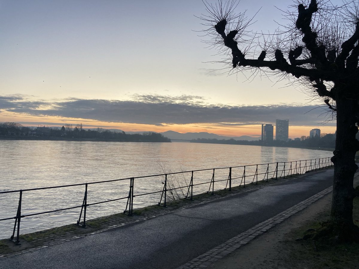 Guten Morgen aus #Bonn am schönen #Rhein. Bald nur noch auf Blue Sky ☝️@naturefranz.bsky.social !
