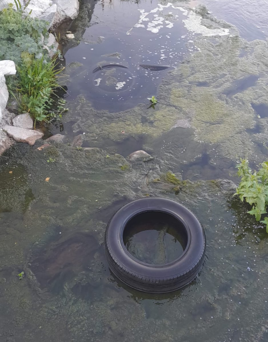 AntoniFerran's tweet image. Demà, dimecres, 22 de gener, a les 17.00h @ArrandeMar parlarem de #merda o el què es el  mateix parlem de #residus de la mà de @MarinaPrezGot amb @JoanRamonTwitt i @AntoniFerran