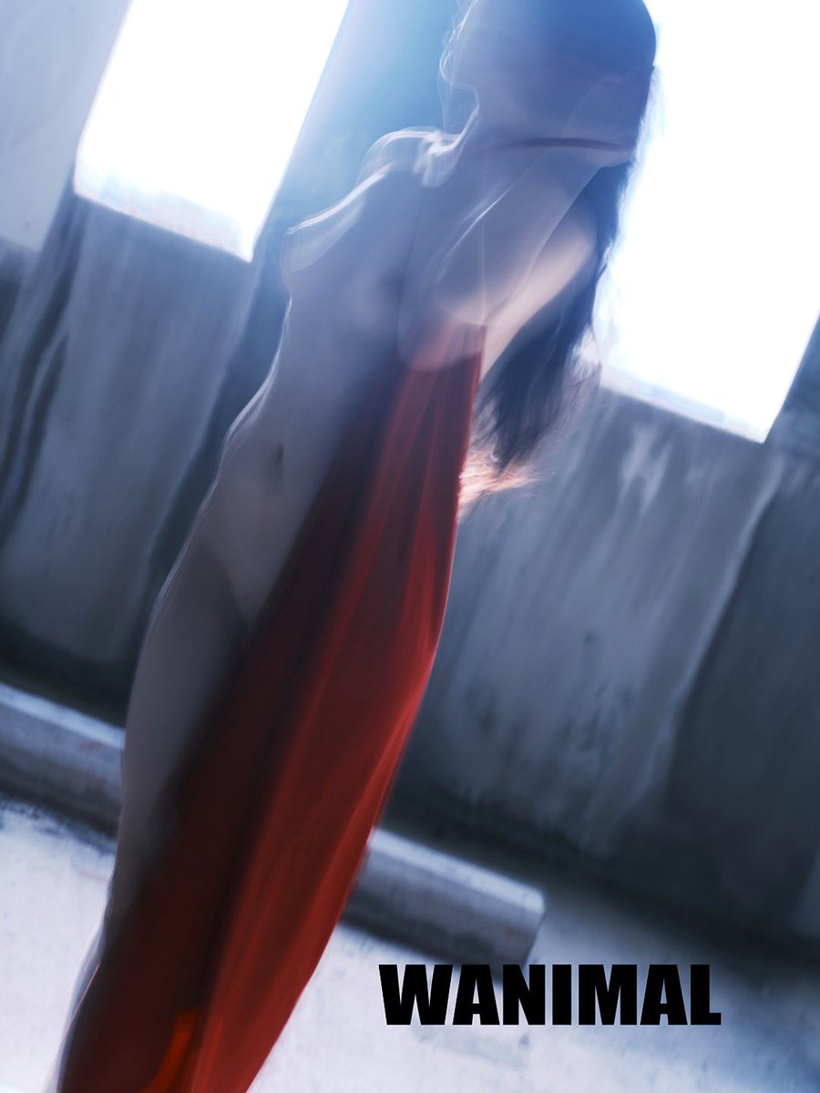 媒体预览