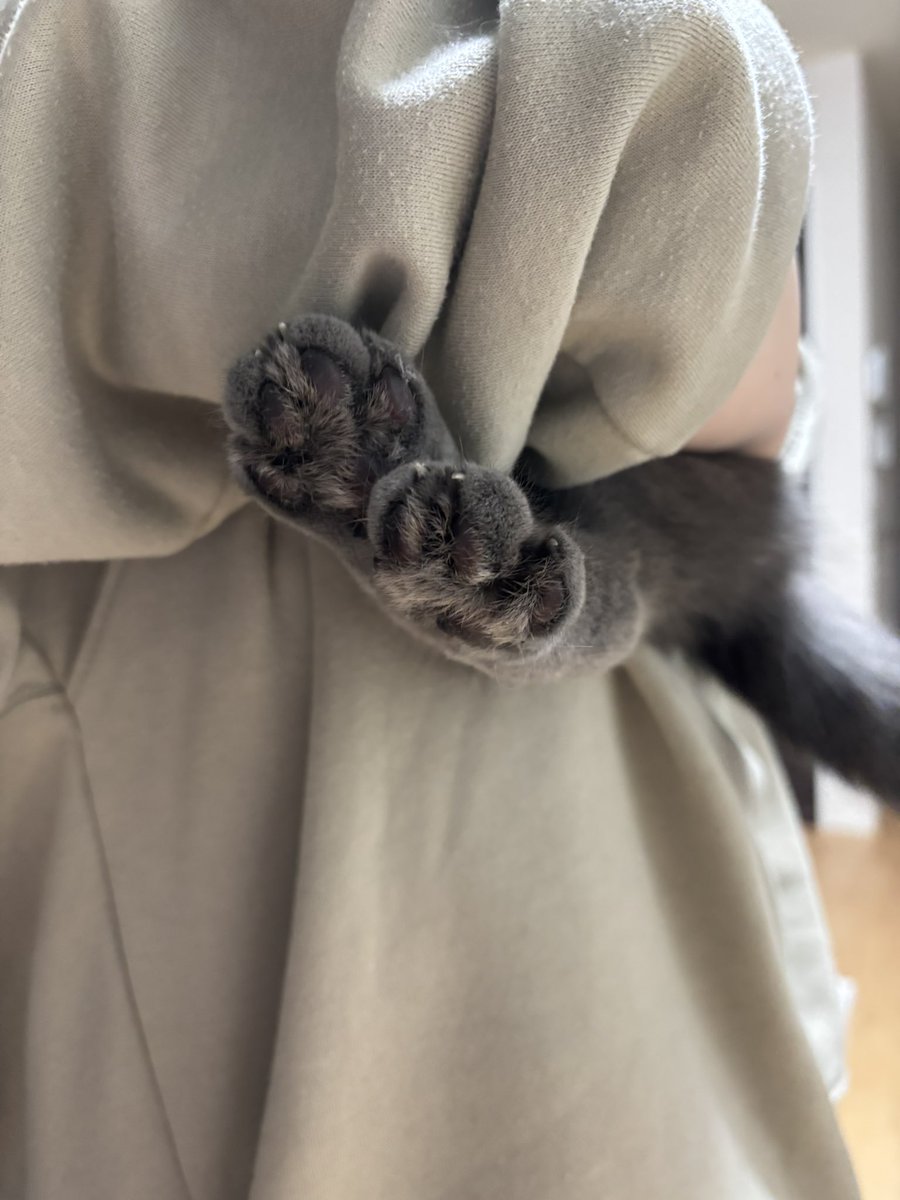 抱っこされる時脚そろうねずみさん