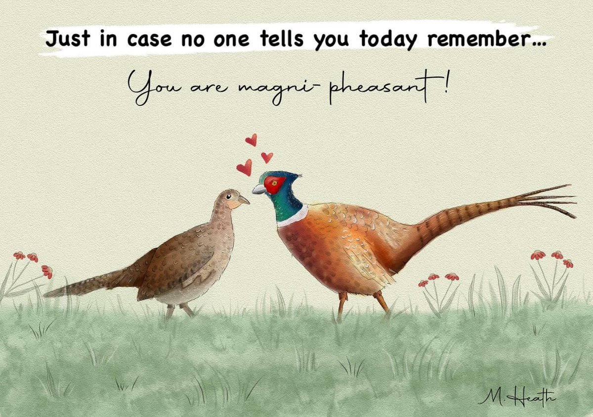 mheathart's tweet image. Just a friendly reminder that no matter what life throws at you today - you are magni-pheasant!
Have a great day x
#pheasant #greetingcarddesign #countryside #birdart #pheasantart #upliftingquotes #watercolour #watercolor #pheasantart #rspb_love_nature #birdspotting #illustration