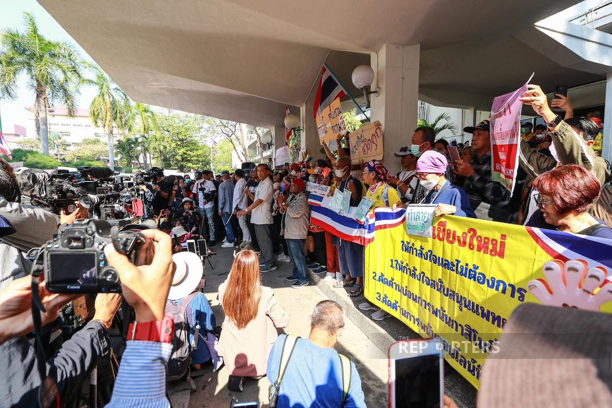 🌺Mai_Thai🌿 tweet media