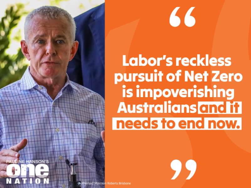 MRobertsQLD's tweet photo. And it's not just Labor with reckless energy policies. The Liberal-Nationals were the ones who introduced every major climate and energy policy and legislation in Australia today.

Only One Nation can be trusted to put Australians first. https://t.co/n0T5chSHtc
