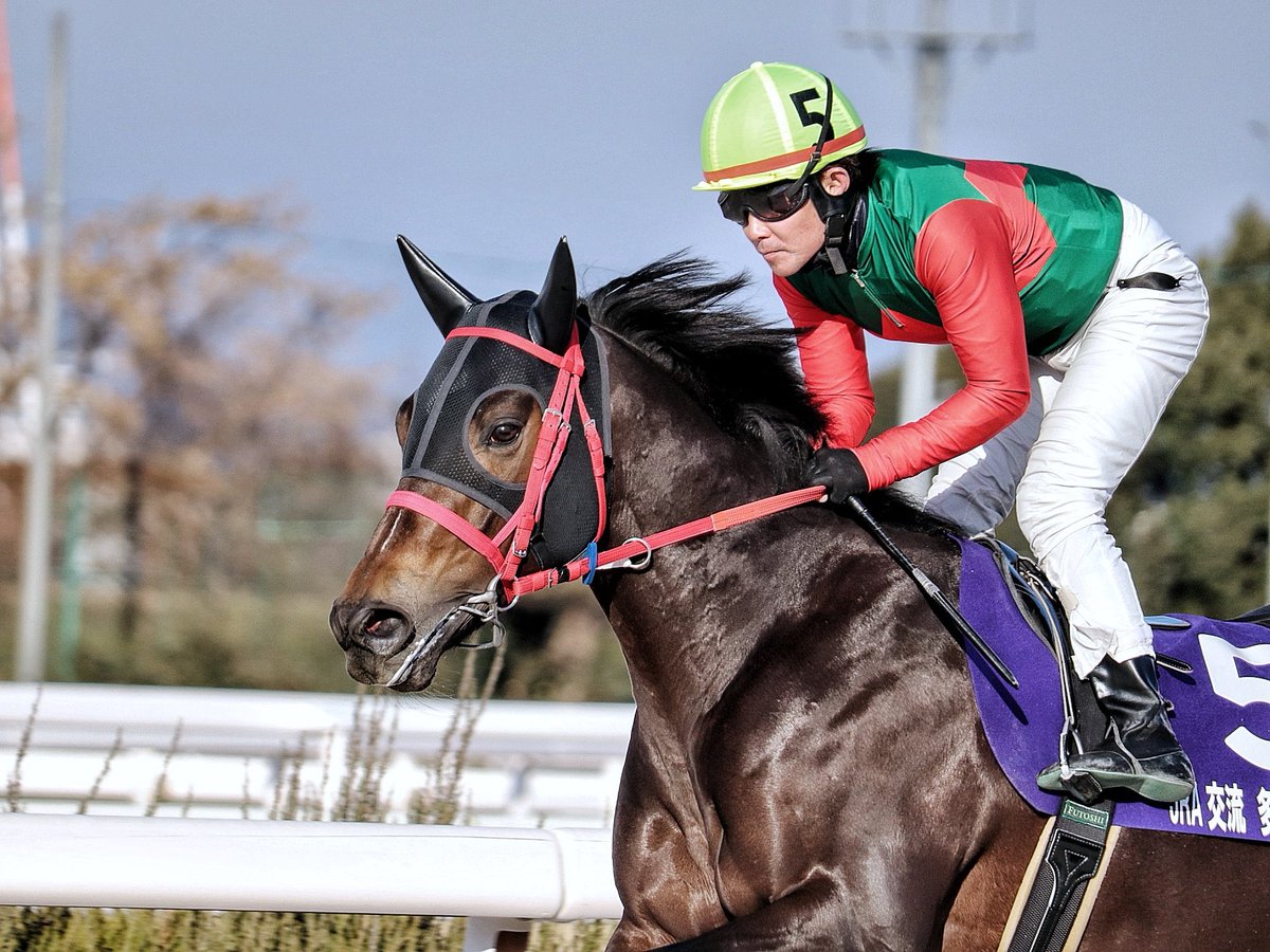 サンジュウロウが1月15日に園田競馬で開催されましたJRA交流競争・多紀連山特別を人気に応えて大外一気の差し切り勝ち！
地元の馬が交流に勝つのは約2年ぶりの快挙とのことです。個人的に大好きな小牧太騎手の好騎乗が光りました！
飯田良弘