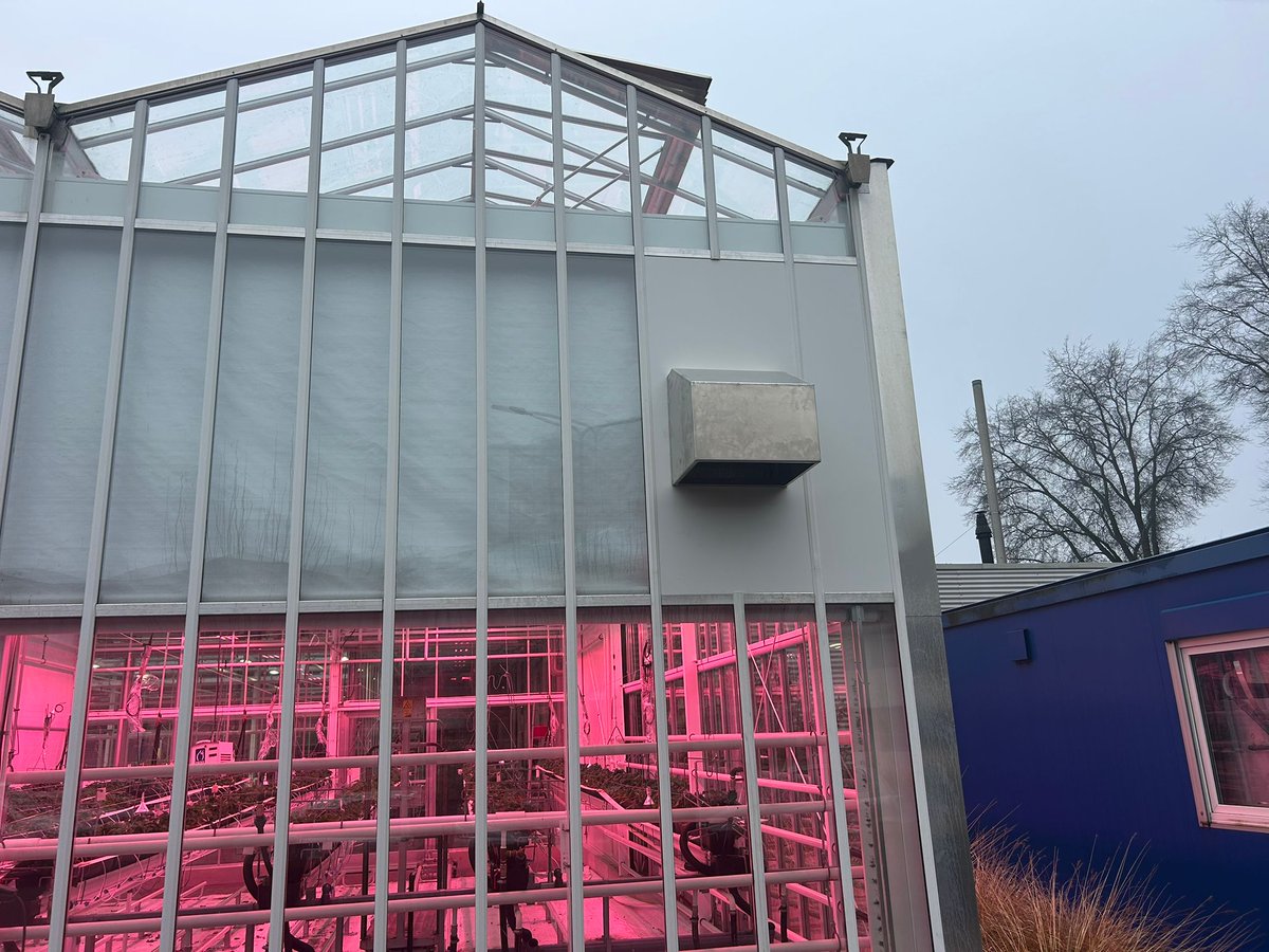 In de aardbei-afdeling van de <a href="/greenacademyHAS/">HAS green academy</a>  in Den Bosch hebben we een installatie  gerealiseerd om te ventileren en ontvochtigen onder gesloten schermen. Dit kan met drogere buitenlucht of 
door binnenlucht te laten condenseren met een koelblok. En dit verwarmd in te blazen.