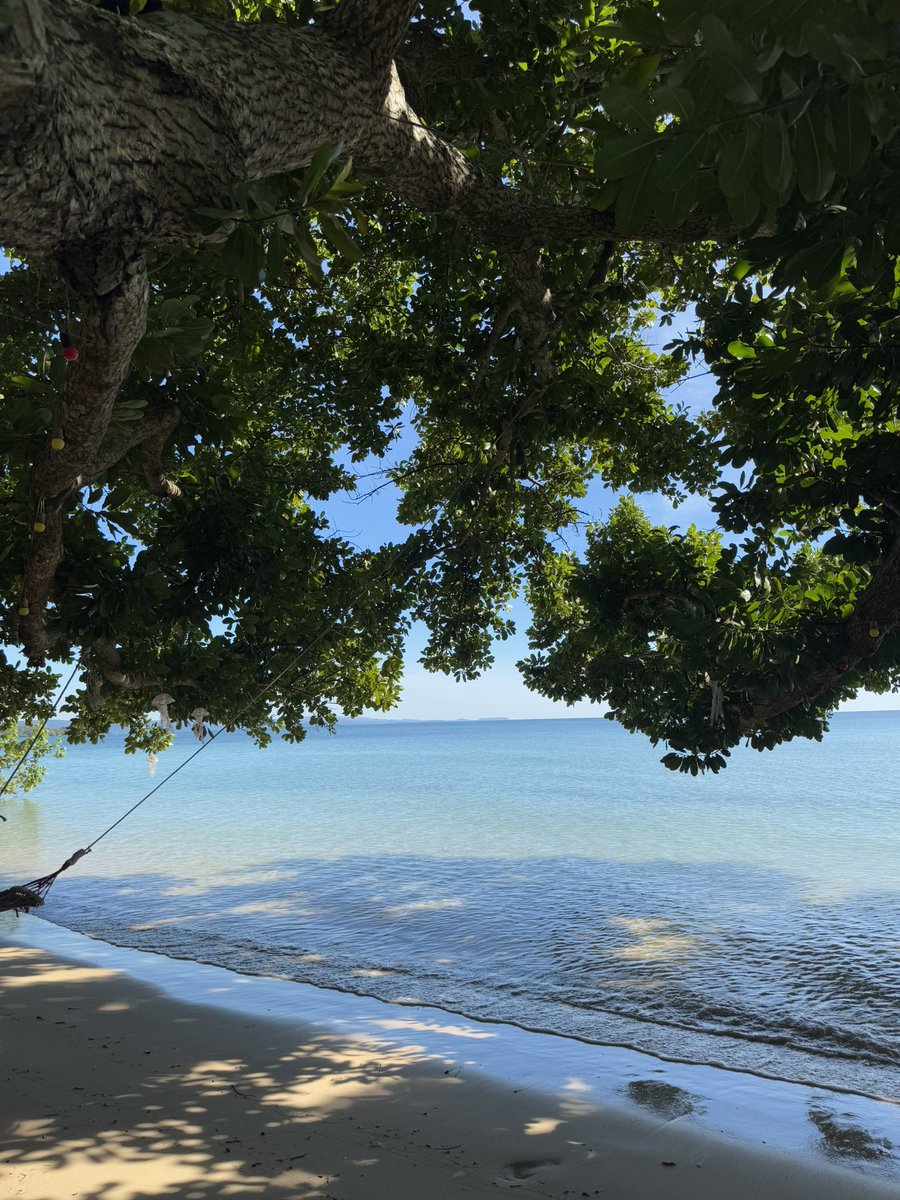 dsbree's tweet photo. Koh Mak, Thailand https://t.co/p8bTTQExPa