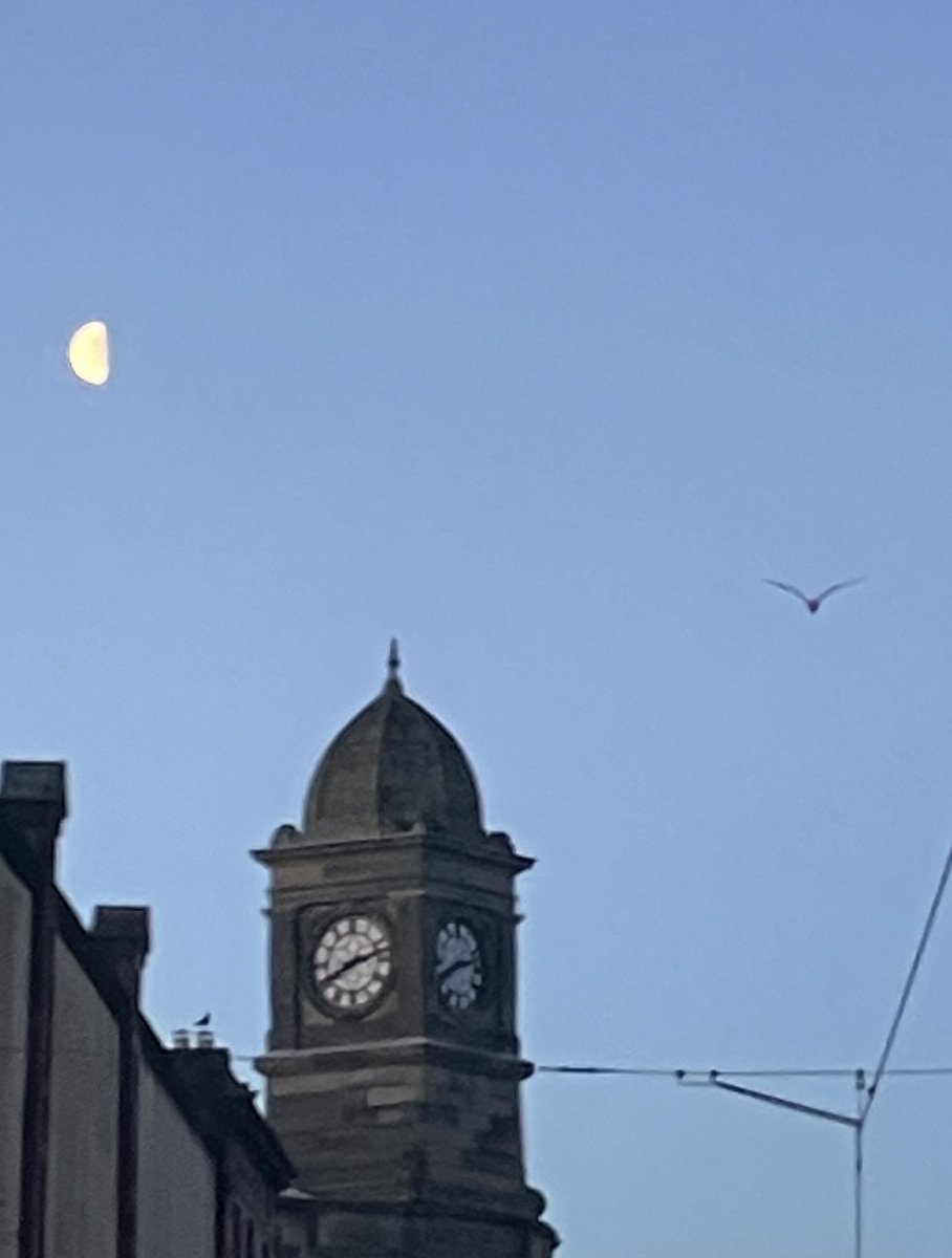 When you’ve been half arsing your weighted split squats and get called on it…. A perfect semi moon to light my shuffle to the tram 😂😂😂😂