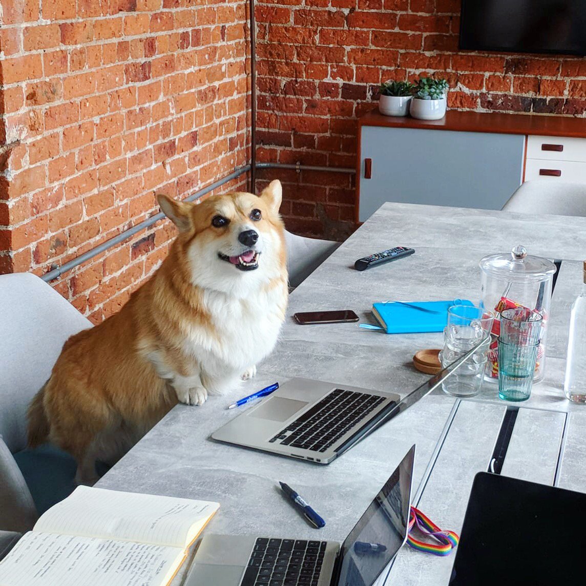 Rick 'Tricky' Harrison (is on bluesky) tweet media