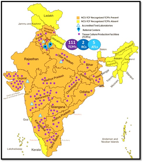 The DBT- NCSTCP achieved a significant milestone in 2024 by having 111 tissue culture companies across 17 states, surpassing the 100-mark milestone for the first time. Together, these companies have a combined installed production capacity of 500 million plants.