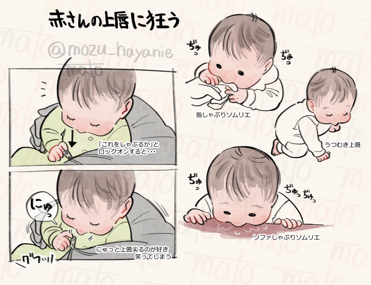 なぜ、あんなにかわいいのか👶クチバシみないな唇 