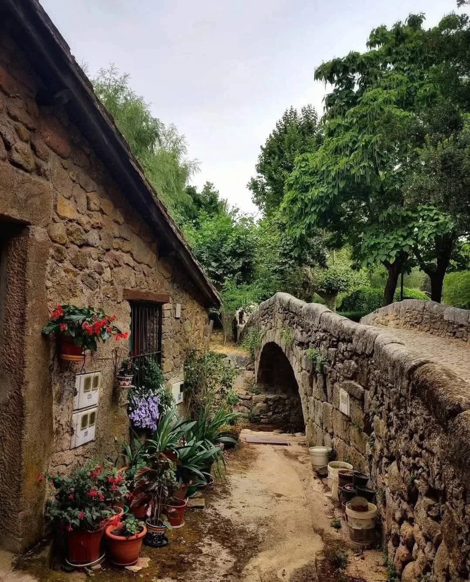 Susana Fuerte 📗💜📘 tweet media