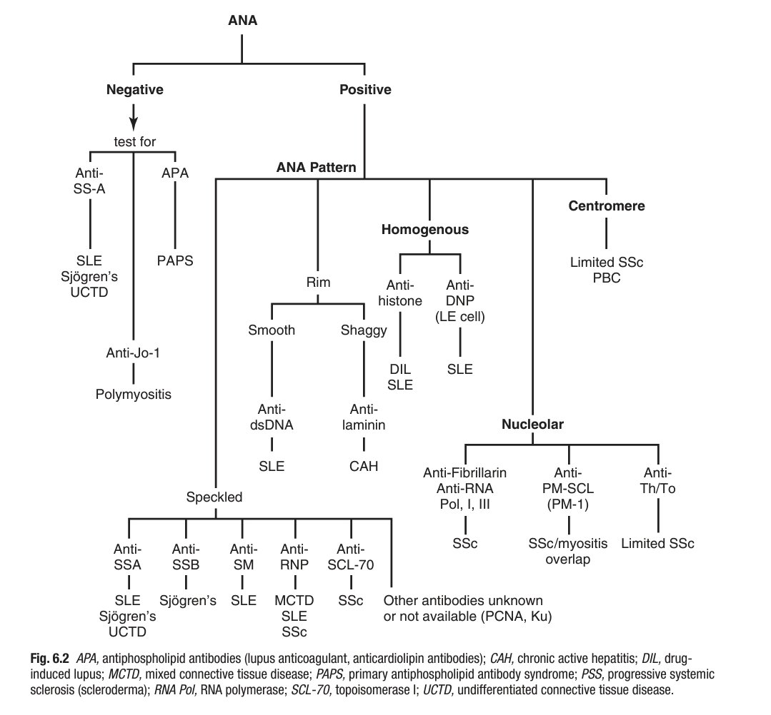 🌟 ANA for diagnosis of connective tissue diseases

From Rheumatology secrets textbook, 4ed.