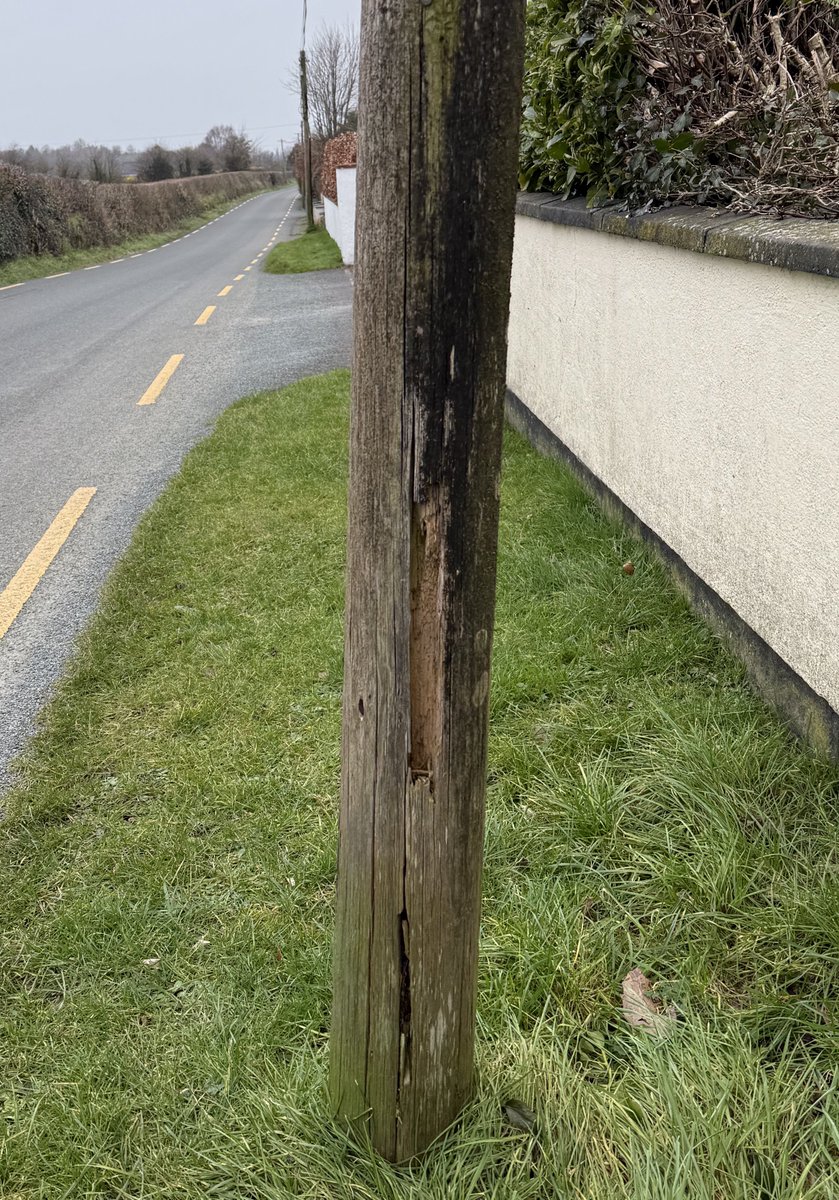 Carlow Weather tweet media