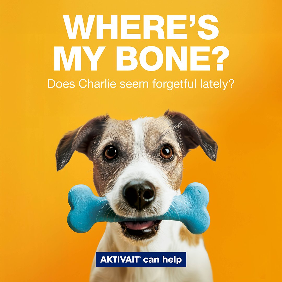 Don’t be afraid if your pet is experiencing age related behavioural changes. Cognitive Dysfunction Syndrome (CDS), more commonly known as doggy or feline dementia, is something that can affect our dogs and cats as they age.

find out how Aktivait can help bit.ly/3DWBHjb