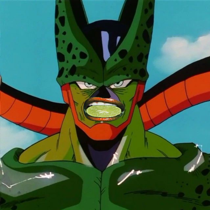 found an old photo of brother when he was semi perfect