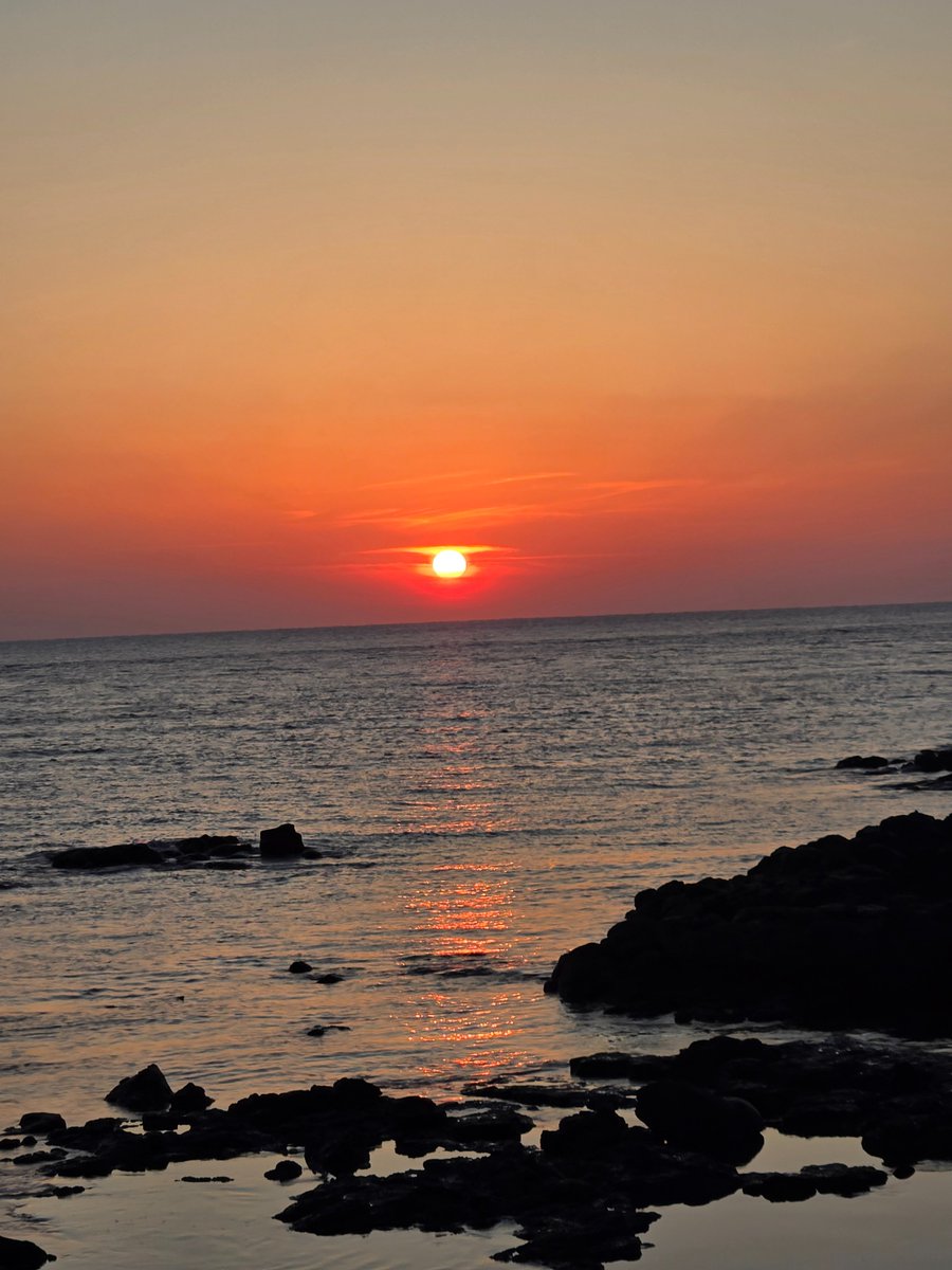 💛🇧 🇮 🇳💜 (빈이) tweet media