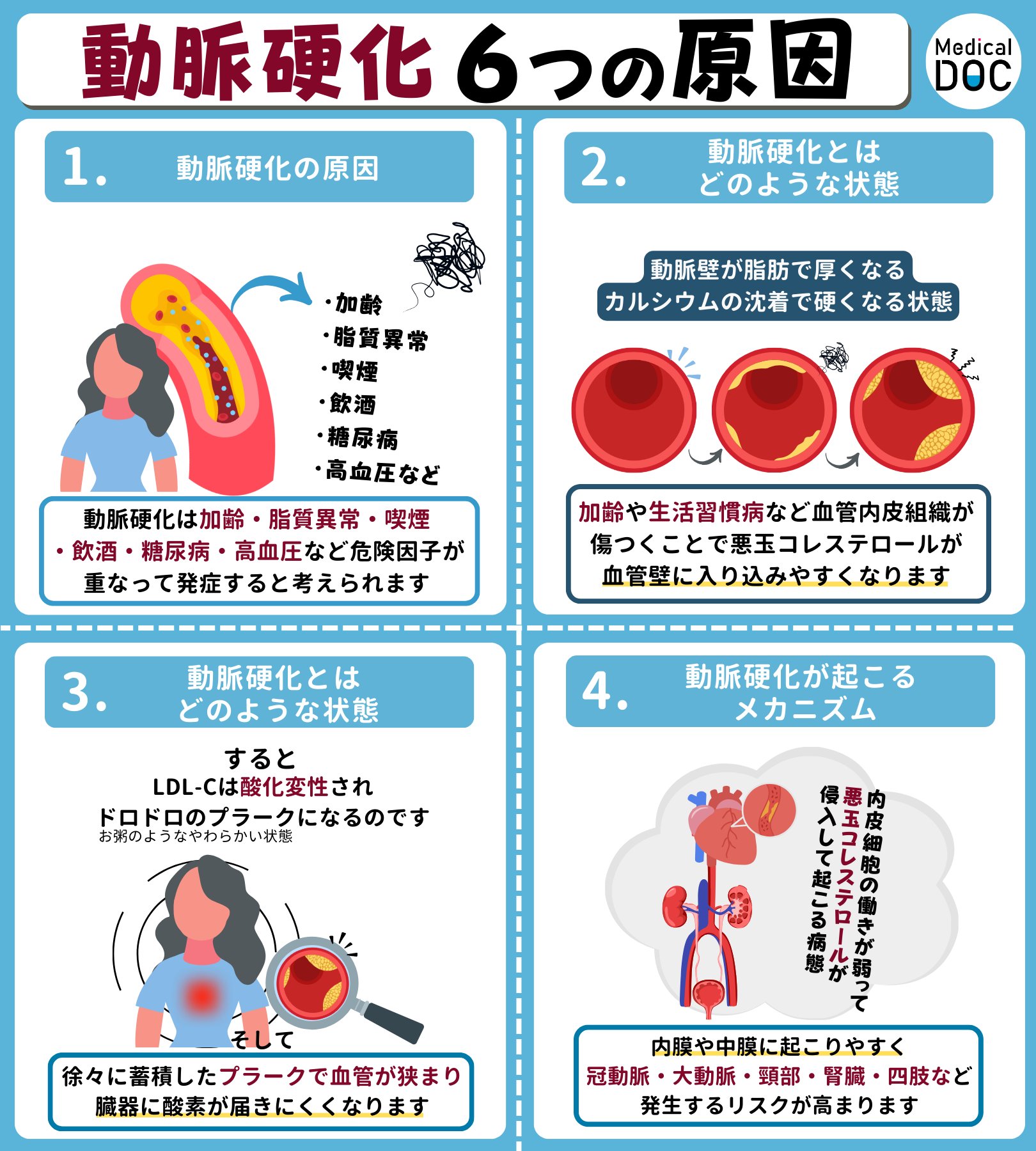 動脈 硬化 原因
