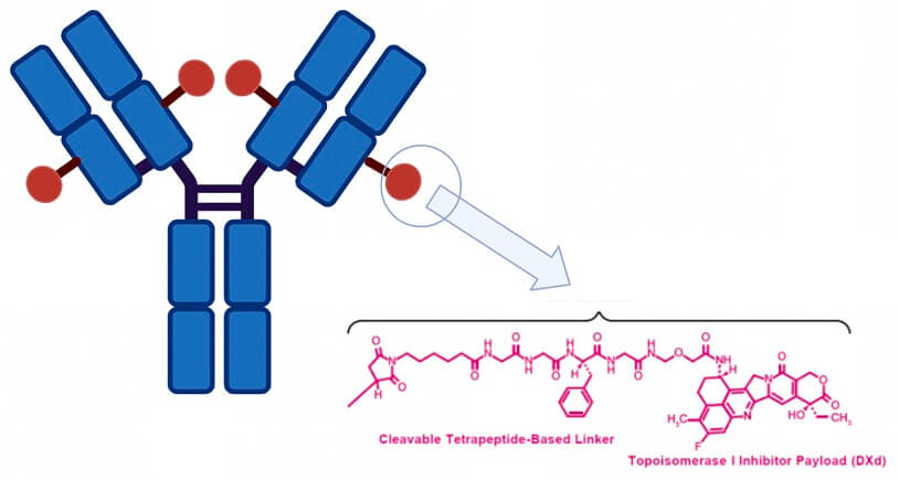 Biopharma PEG Scientific Inc. tweet media