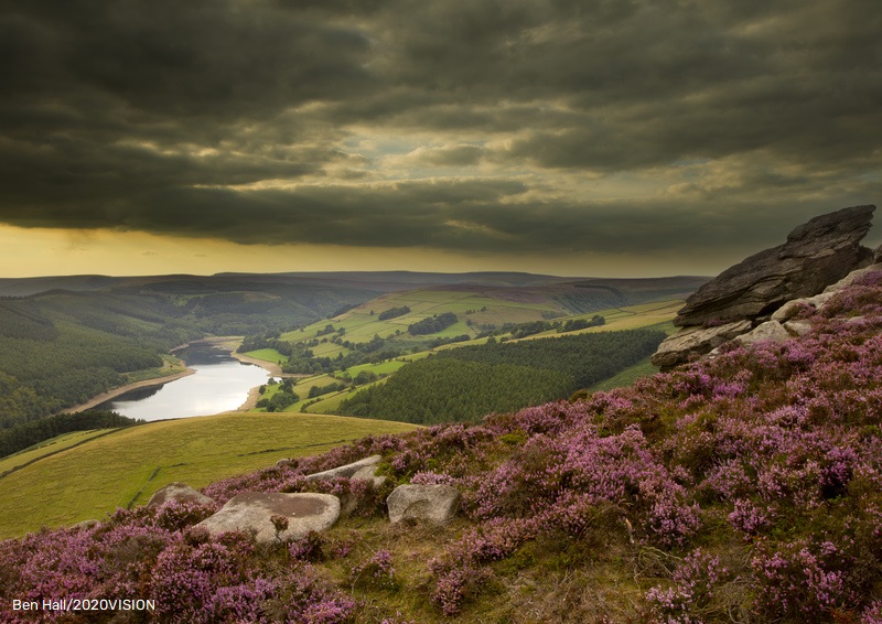 The Wildlife Trusts tweet media