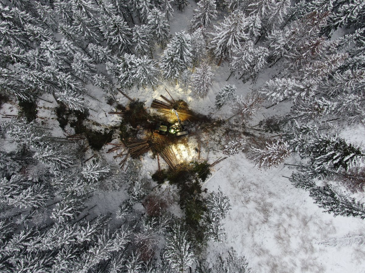 Avverkningsanmäld areal ökade med 42 % i december 2024 jämfört med 2023. I fjällnära skogar var arealen drygt åtta gånger större än samma månad förra året. #statistik Läs mer: skogsstyrelsen.se/nyhetslista/ok…