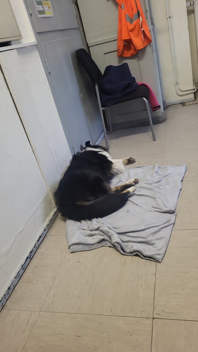 Katja's kleine Farm tweet media