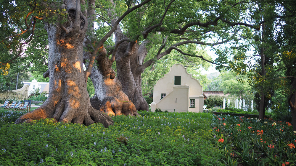 Jamie Goode tweet media