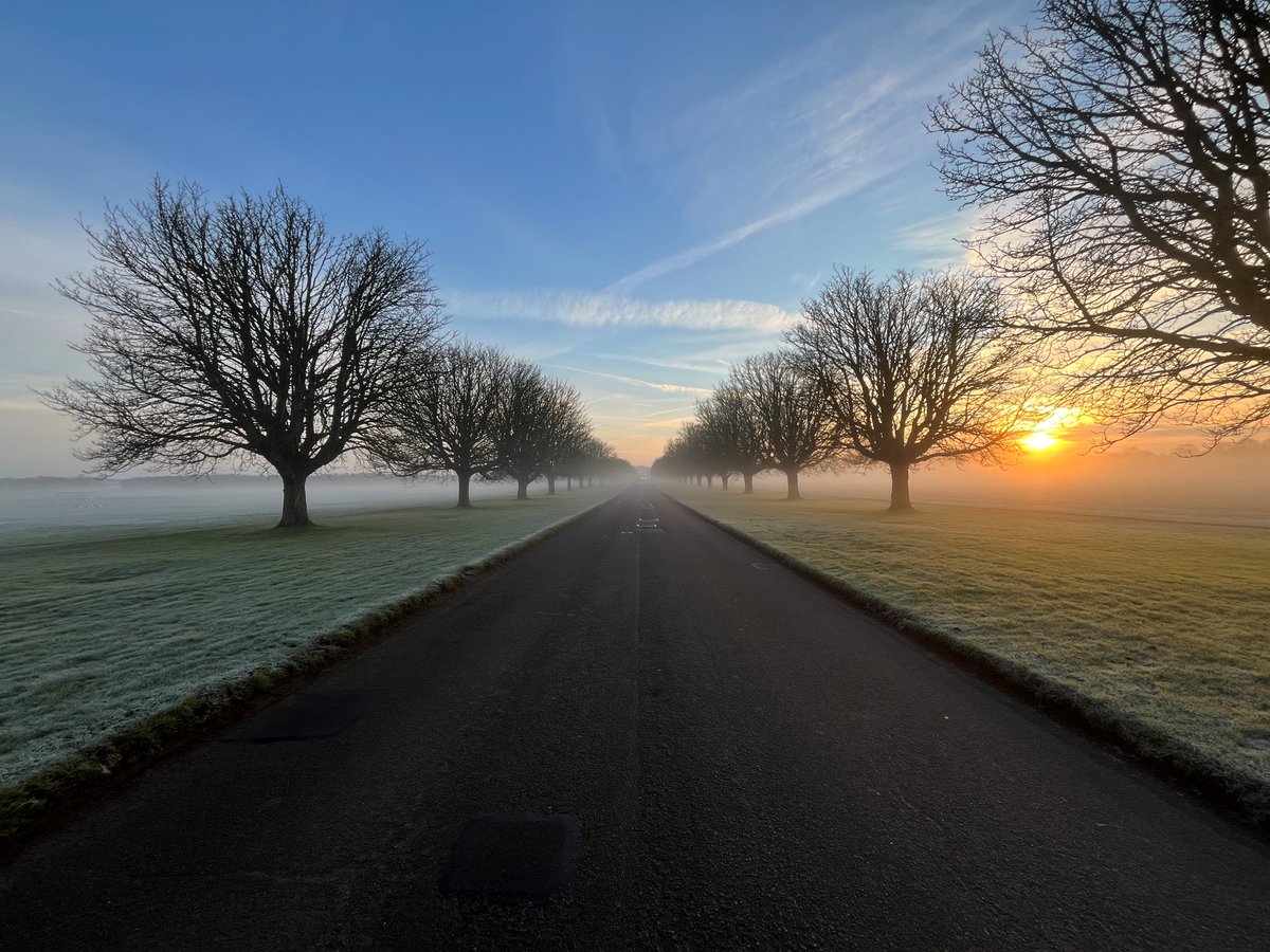One of the many benefits of having your business located here at Wrest Park is driving down the stunning tree lined avenue on a morning like today ☀️🌫️