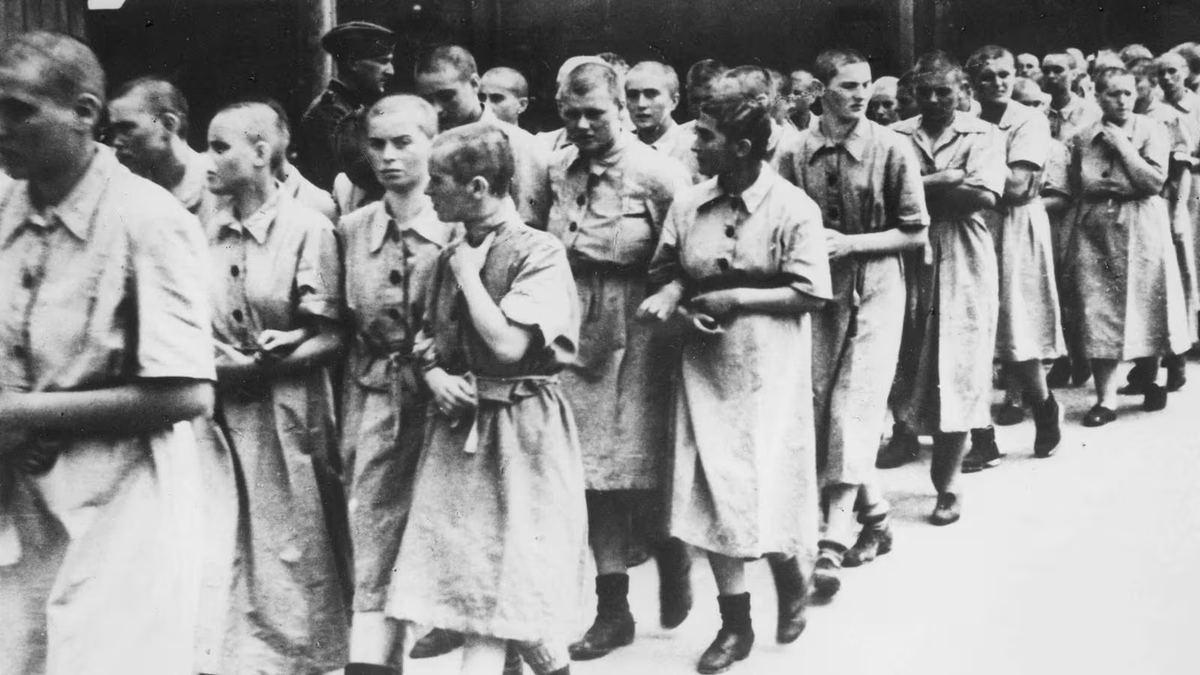 Scuola Normale (@scuolanormale) on Twitter photo Giornata della Memoria: lunedì 27 gennaio la proiezione del film sulla Shoah italiana, in contemporanea alla <a href="/ScuolaSantAnna/">ScuolaSantAnna</a> e alla <a href="/IMTLucca/">Scuola IMT Alti Studi Lucca</a> durante l’evento organizzato con SNS e <a href="/Unipisa/">Università di Pisa</a> 👉 normalenews.sns.it/giornata-della… Giornata della Memoria: lunedì 27 gennaio la proiezione del film sulla Shoah italiana, in contemporanea alla <a href="/ScuolaSantAnna/">ScuolaSantAnna</a> e alla <a href="/IMTLucca/">Scuola IMT Alti Studi Lucca</a> durante l’evento organizzato con SNS e <a href="/Unipisa/">Università di Pisa</a> 👉 normalenews.sns.it/giornata-della…