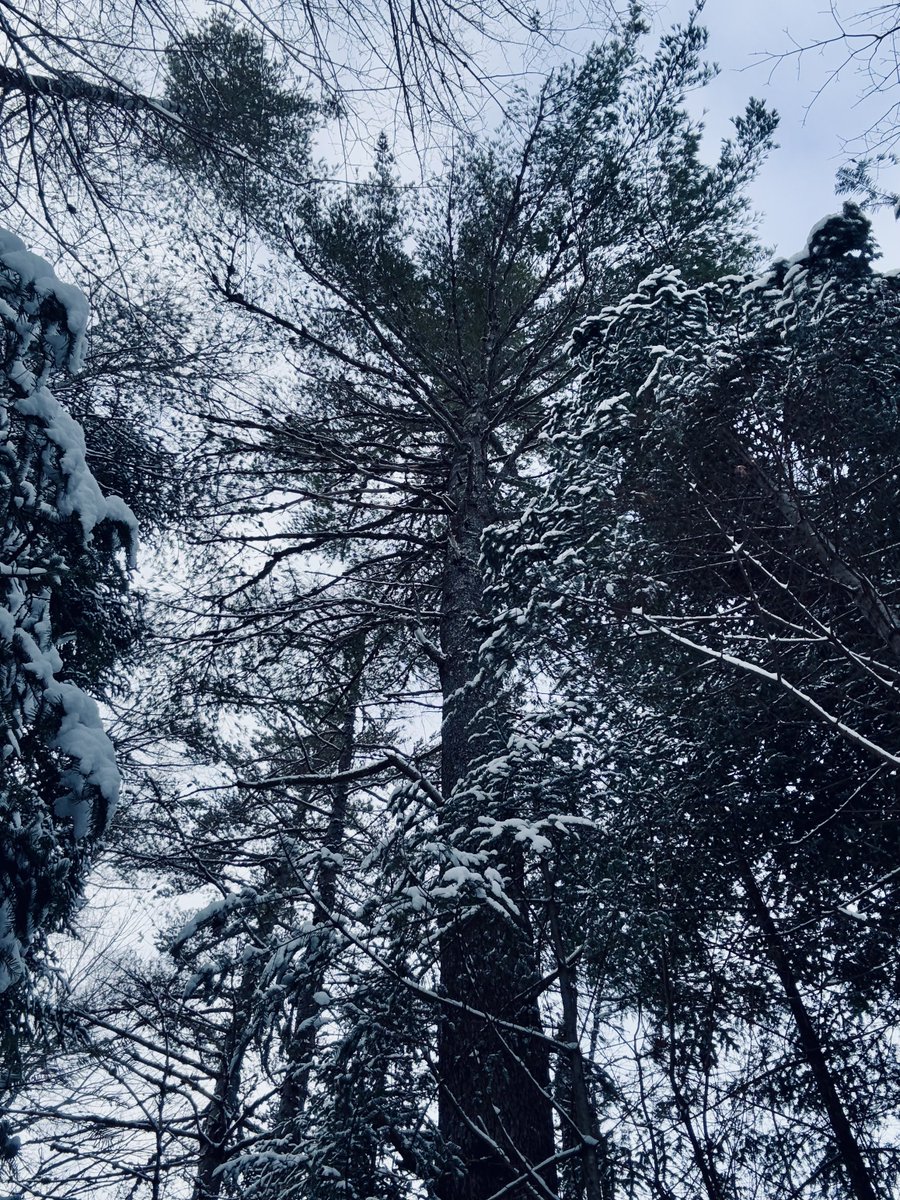 K. W. Bernard tweet media