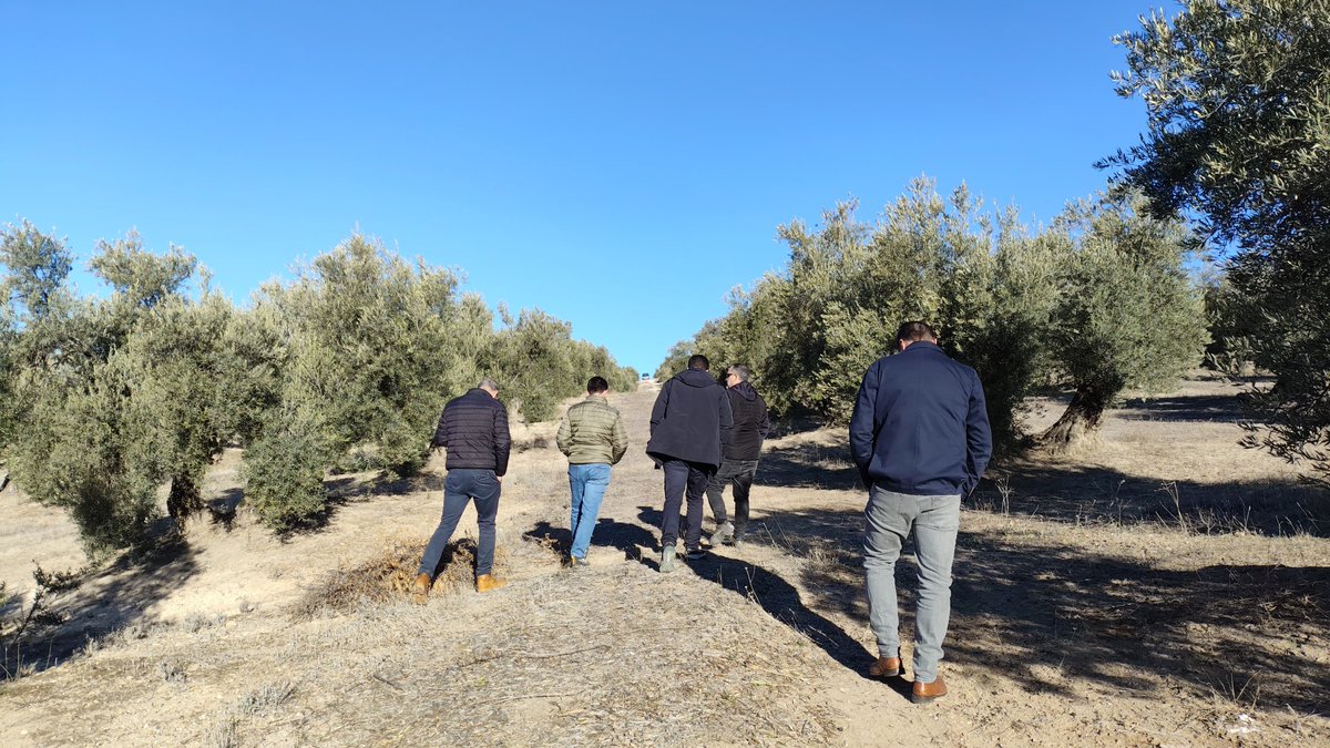 📸El pasado 16 de enero se realizó una visita técnica a las fincas piloto seleccionadas por la cooperativa Puerta de las Villas, en el marco del Proyecto Living SoilL.