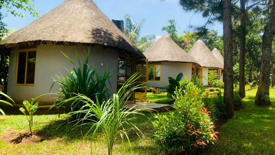 BN PRIVATE BEACH &RESORT-JINJA tweet media