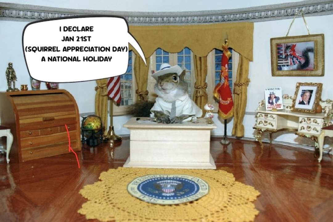 📢Happy National Squirrel Appreciation Day!!🥳🐿🐿🐿🐿🐿🐿🐿🐿

🚨To Celebrate we are giving away 250k $SUGR TOKENS in just 36 hours! 

To Enter Simply:
🥜Follow this account
🥜Like &amp; Retweet
🥜Tag 3 friends
GOOD LUCK SUGAR ARMY🫡