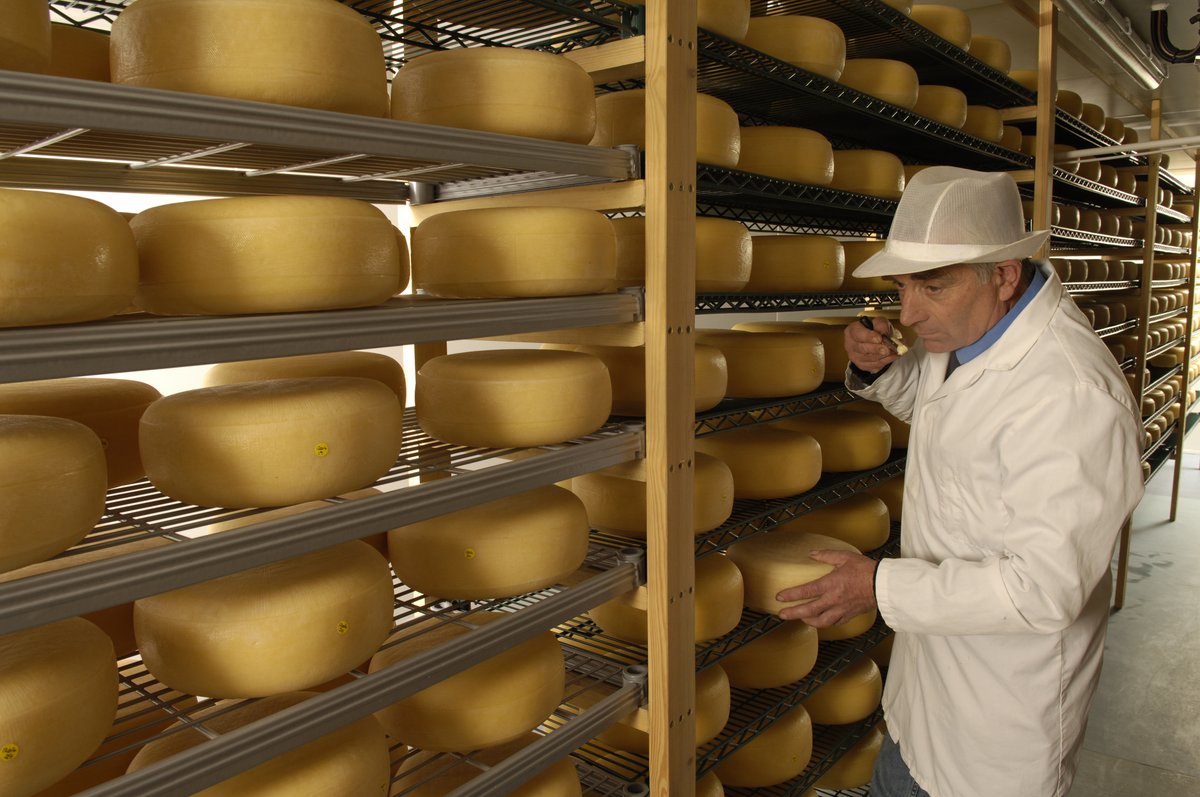 Winchester City Council (@winchestercity) on Twitter photo Join Mike from <a href="/LyburnCheese/">Lyburn Cheese</a> & <a href="/MayorWinchester/">Mayor of Winchester</a> for the next Mayoral Charities’ event, a cheese-tasting evening in Abbey House on Weds 19 Feb from 7pm. Proceeds will benefit 4 local charities @StJohnsWinch <a href="/WinchRadio/">Winchester Radio 94.7FM</a> <a href="/HistoryTrust/">Hampshire History Trust</a> & <a href="/WinchesterSCC/">Winchester SeaCadets</a>: winchester.gov.uk/news/2025/jan/… Join Mike from <a href="/LyburnCheese/">Lyburn Cheese</a> & <a href="/MayorWinchester/">Mayor of Winchester</a> for the next Mayoral Charities’ event, a cheese-tasting evening in Abbey House on Weds 19 Feb from 7pm. Proceeds will benefit 4 local charities @StJohnsWinch <a href="/WinchRadio/">Winchester Radio 94.7FM</a> <a href="/HistoryTrust/">Hampshire History Trust</a> & <a href="/WinchesterSCC/">Winchester SeaCadets</a>: winchester.gov.uk/news/2025/jan/…