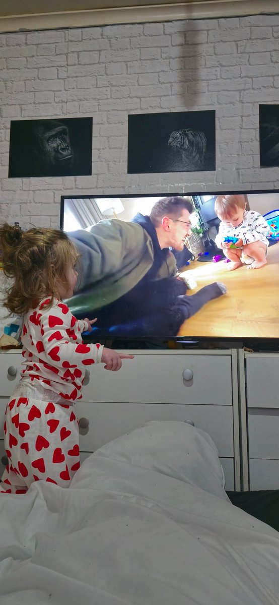 Catching up on the <a href="/LifeOfTom/">Tom</a> <a href="/Syndicate/">Tom</a> Monday vlog and the little one can't take her eyes off Alfie. She absolutely adores him and watches every night. Even the cat joined in eventually