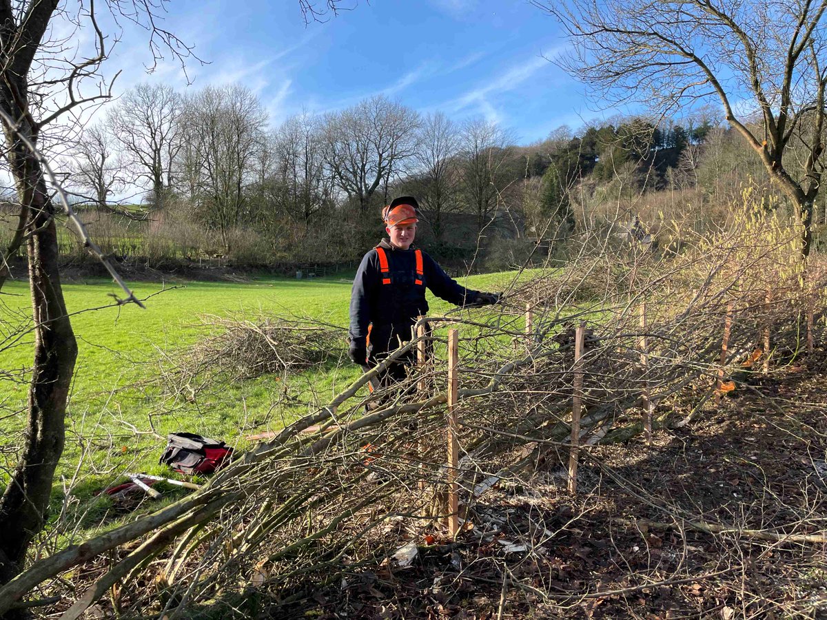 🌳🌿🍃🪓🏆Hedge layers wanted! - Professional and amateur hedge layers will once again be testing their skills at our annual Hedge-laying Competition on Saturday 8 February at Low Sizergh Farm. <a href="/SizerghCastleNT/">NT Sizergh</a>
Spectators are welcome, and there's a café at the farm!