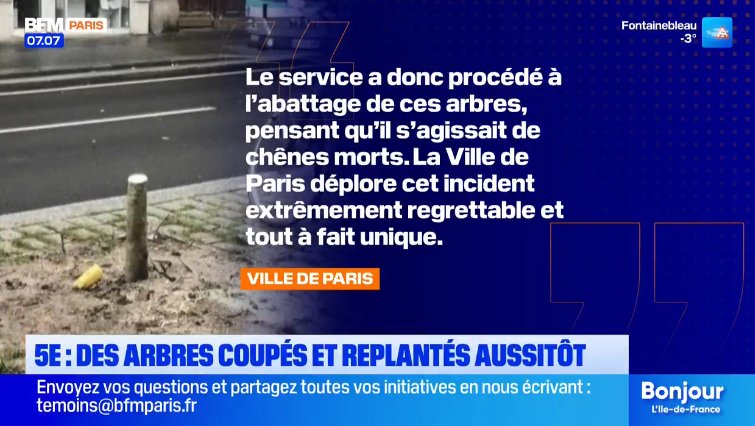 mtwit75's tweet photo. La Ville de Paris reconnaît avoir abattu des arbres en pleine santé, les croyant morts ⤵️ https://t.co/CgclA02Lcw
