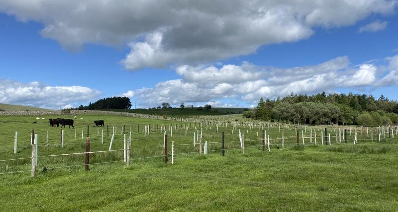 Agroforestry within ELMs – would you like to learn more?

The NFU is exploring how beneficial an agroforestry webinar would be to members. This would be delivered with the Forestry Commission and would provide more detail on funding and advice.

More👉nfuonline.com/communities/en…