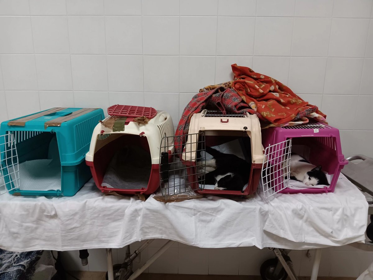 LAV Bari tweet media