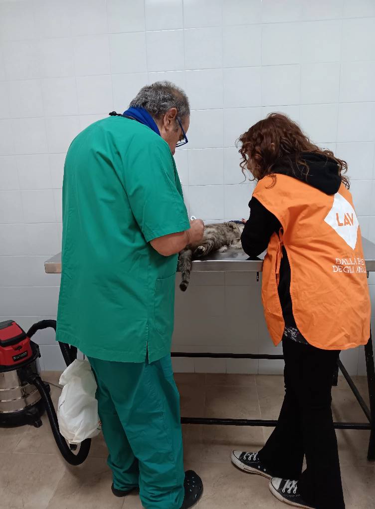 LAV Bari tweet media