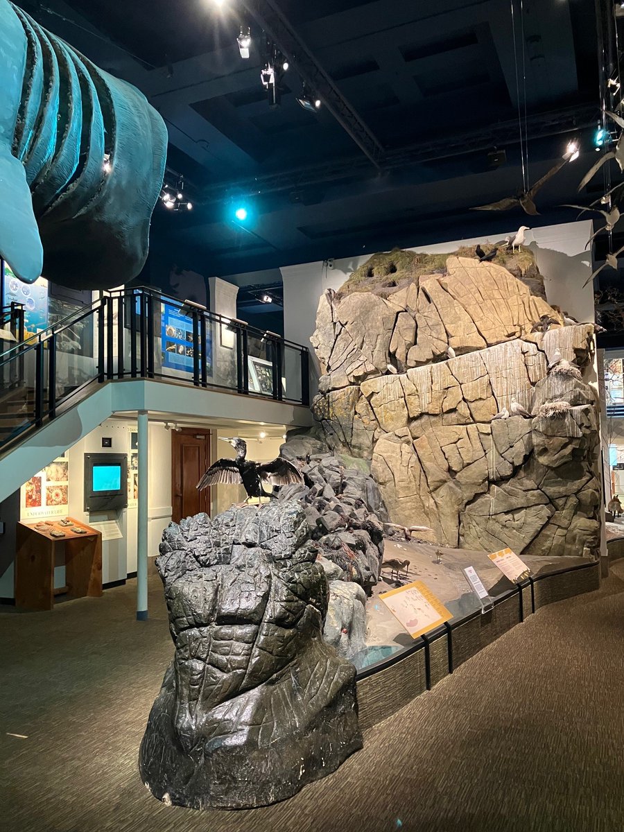 Connect with Welsh sea life in the <a href="/Museum_Cardiff/">Amgueddfa Caerdydd</a>  galleries &amp; find out about the amazing sea life that surrounds Wales and beyond. Our After Dark event on Feb 26 also offers the chance to speak to our scientists &amp; encounter specimens from our collections #OceanLiteracy #YMôrANi